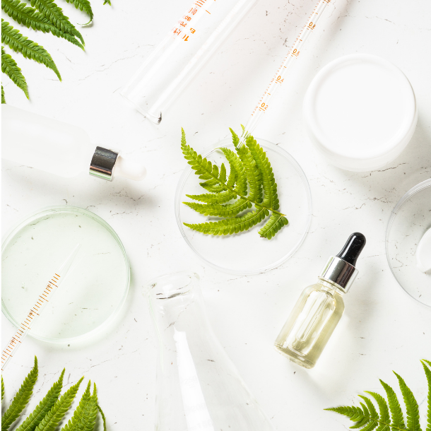 化粧品に使われている厳選された植物の画像